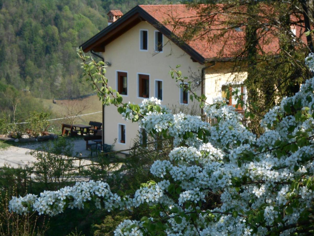Agriturismo La Casa Nei Boschi Colderu Екстер'єр фото