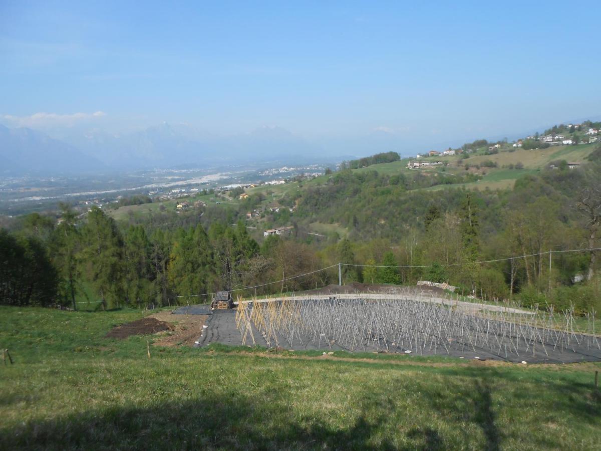 Agriturismo La Casa Nei Boschi Colderu Екстер'єр фото