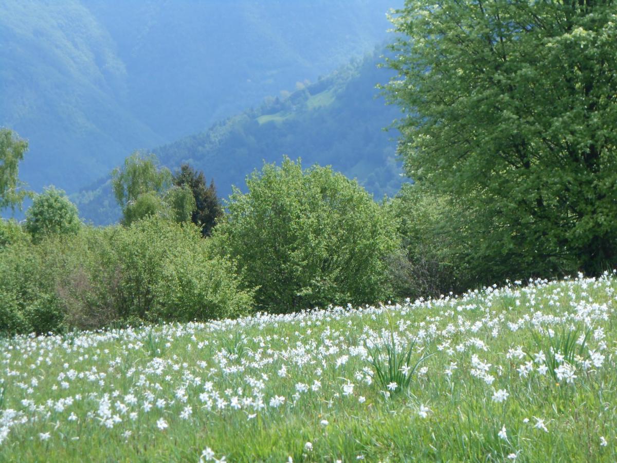 Agriturismo La Casa Nei Boschi Colderu Екстер'єр фото
