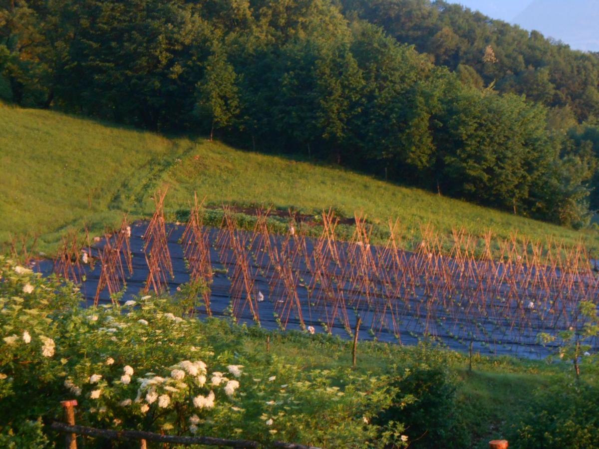 Agriturismo La Casa Nei Boschi Colderu Екстер'єр фото