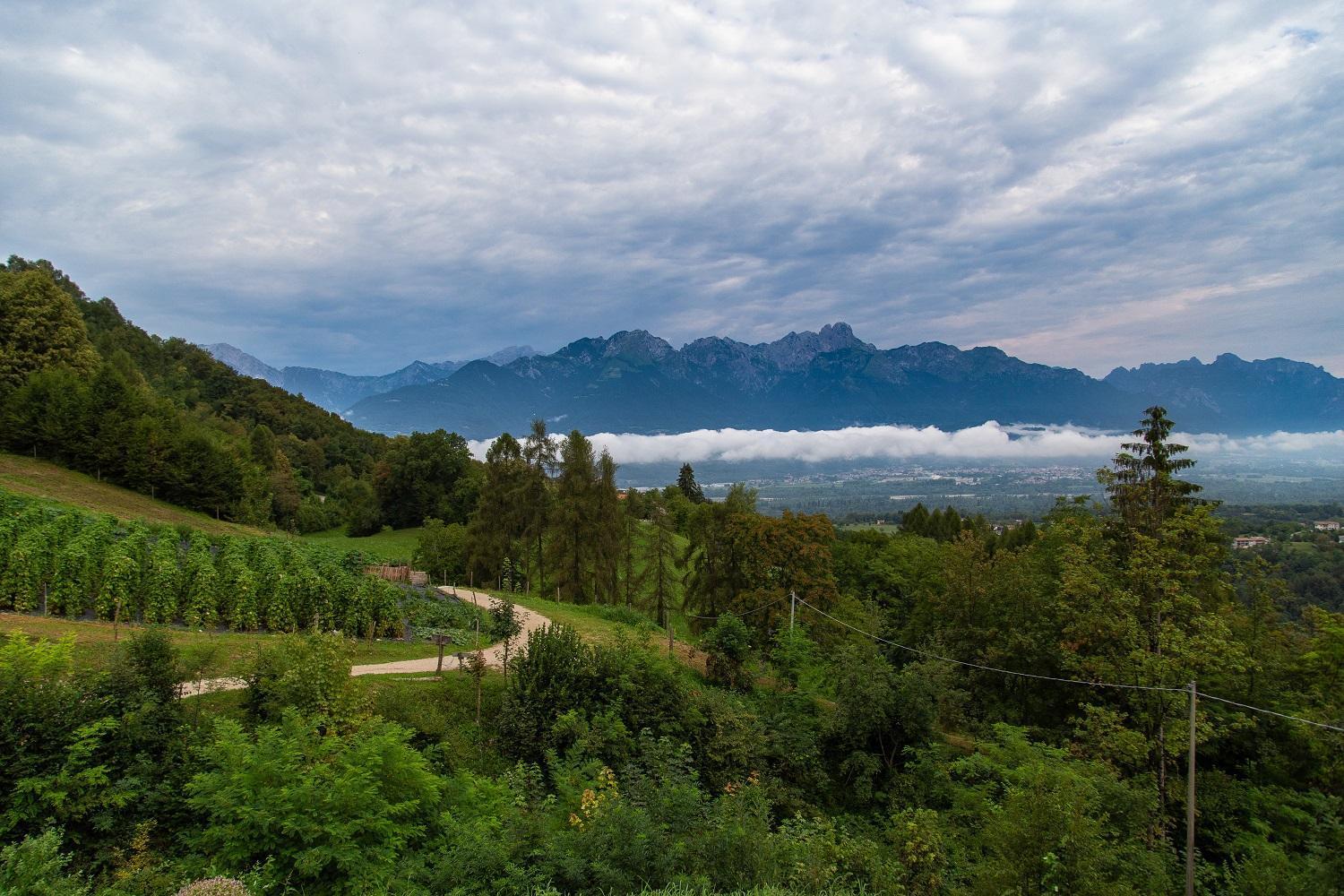 Agriturismo La Casa Nei Boschi Colderu Екстер'єр фото